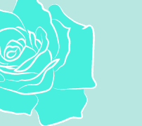 오이카와 생일 축전 만드는 중