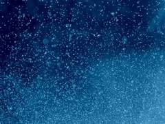 이 여름의 습기는