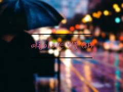 여름에 피는 벚꽃(하)