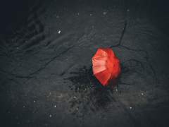 [카게히나] 빗소리