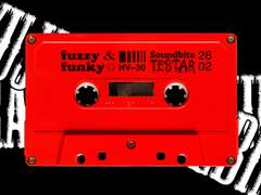 fuzzy & funky 上