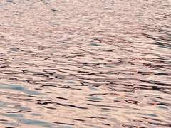 배드 드라큘라 승