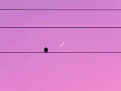 :: 吉戸 千颯 13 ::