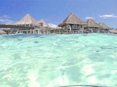 0차 성장 공개 프로필