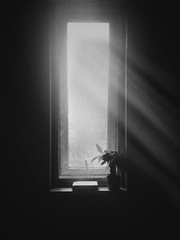 여행자와 섬광의 기사