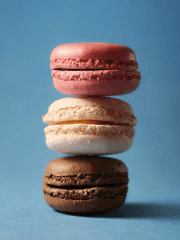 뻔한 캠퍼스 로맨스