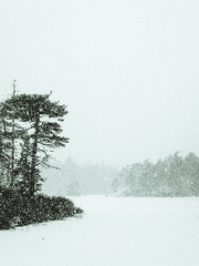 스타듀밸리 드림