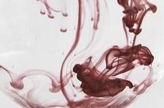 미천한 모든 것을 포용할.