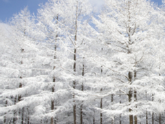 또다시 눈을 떠라, 그가 반겨줄것이다.