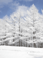 또다시 눈을 떠라, 그가 반겨줄것이다.