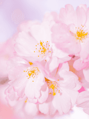 [룡휝] 넌 X발 눈치도 없냐