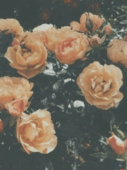 어느날 갑자기 하늘에서 구남친이 내려와