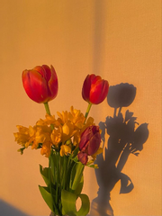 너희를 위해서라면 뭐든지