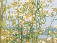 연성67제;죽음에 관하여