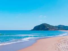 여름청춘(뜰팁)