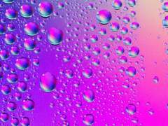 나는 반드시 이기거나 지는 내기는 싫어.