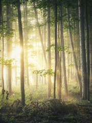구원 가능한 영생이 있다면