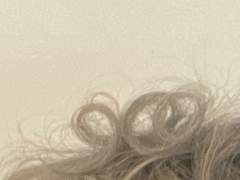 엔팁과 인프제의 더보기