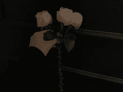 나의 가장 오랜 남편 H에게