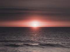 때를 기다릴 것.