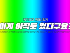 엘소드 청 아바타 판매