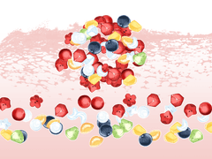 화채 브러쉬 세트