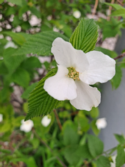 내가 읽은 작품