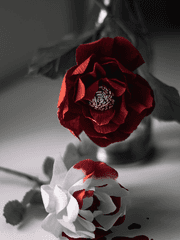 그래도 우리의 날들