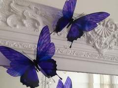 짓눌리지 않을 새벽 하늘