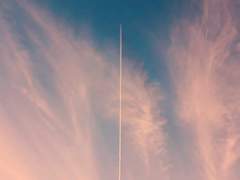 이재이 모든 기억 안고 스러진다