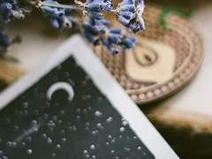 아델 F. 베네치아 / 11 / 래번클로