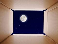 내 삶의 유일에게