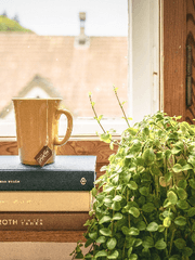 오마카세 커미션