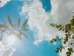 [산하령/온주] 여름 한낮