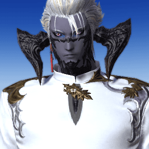 파판 자캐: 시엥님 야옹해