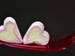 Garden of Earthly Delights.