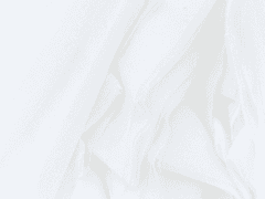 [벨결문] 부작용