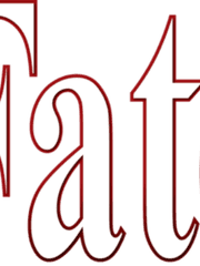 성배전쟁의 이야기