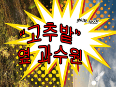 고추밭 옆 과수원 8