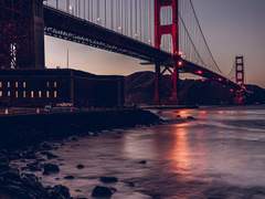 딥 디시 블루베리 타입 (5)