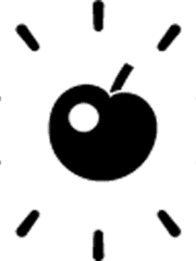 Dogs in the Vineyard