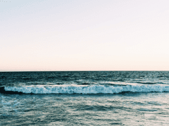 [동도김정] 파도,파도,파도