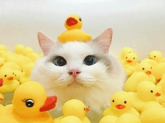 127막내 김여주 모먼트 EP.30💘