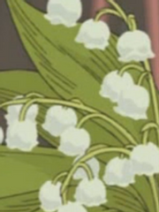 문스독 아츠다자