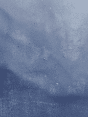 트위터 백업 [뱀파이어 포레]