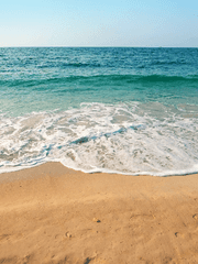 내가 보고싶은 장면