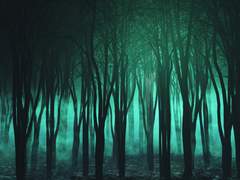 [알베케일+하얀 별] 아이야, 1