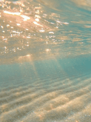 대화하자, 그리자