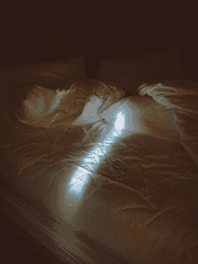 최대다수의 최대행복