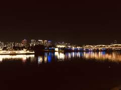 사계절 피는 꽃